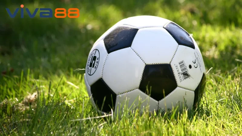 Quy trình tham gia cá độ bóng đá Viva88 cho tân binh 